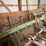 john-deere-400-image-6