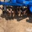 landoll-7431-33-image-18
