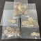 summer-coin-&-currency-collection-image-3