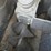 international-10-image-5