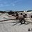 m&w-8-wheel-image-10