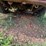 1996-chevrolet-s10-image-11