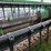john-deere-920-image-15