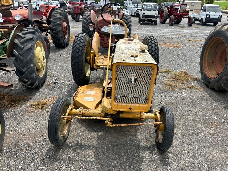 international-cub-lo-boy-image-3
