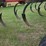 brillion-super-soil-builder-11-shank-disc-chisel-image-8