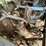 allied-8-row-cultivator-image-6