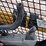 2023-caterpillar-259d3-image-22