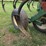 brillion-super-soil-builder-11-shank-disc-chisel-image-6