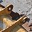 caterpillar-28-image-8
