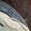 homemade-20-image-14