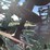 2009-john-deere-2510s-image-15