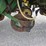 john-deere-7200-image-6