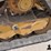 2021-caterpillar-299d3-image-19