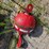 manitowoc-3900w-image-140