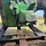 1953-john-deere-g-image-49