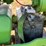 john-deere-gm-image-26