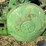 1956-john-deere-60-image-65