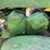 1954-john-deere-70-image-67