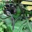 john-deere-g-image-32