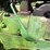 1951-john-deere-g-image-30