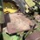 1953-john-deere-g-image-50