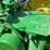 john-deere-aw-image-62