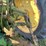 1956-john-deere-60-image-50