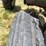 john-deere-gm-image-18