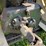 1953-john-deere-50-image-42