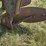 john-deere-314-image-9