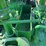 1953-john-deere-gn-image-50