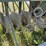 john-deere-fb-image-42