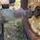 1953-john-deere-g-image-51