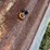 john-deere-gm-image-55