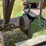 1951-john-deere-b-image-46