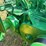 john-deere-g-image-48
