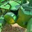 john-deere-aw-image-46