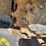 2022-bobcat-t66-image-7