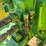 john-deere-aw-image-56