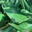 john-deere-a-image-51