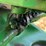 john-deere-g-image-26