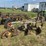 john-deere-314-image-3