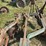 john-deere-314-image-25