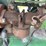 john-deere-d-image-80