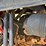 barreto-20rtk-image-11