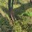 john-deere-11-image-14