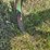 john-deere-11-image-19