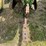 john-deere-g-image-44