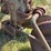 john-deere-314-image-8