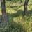 john-deere-11-image-16